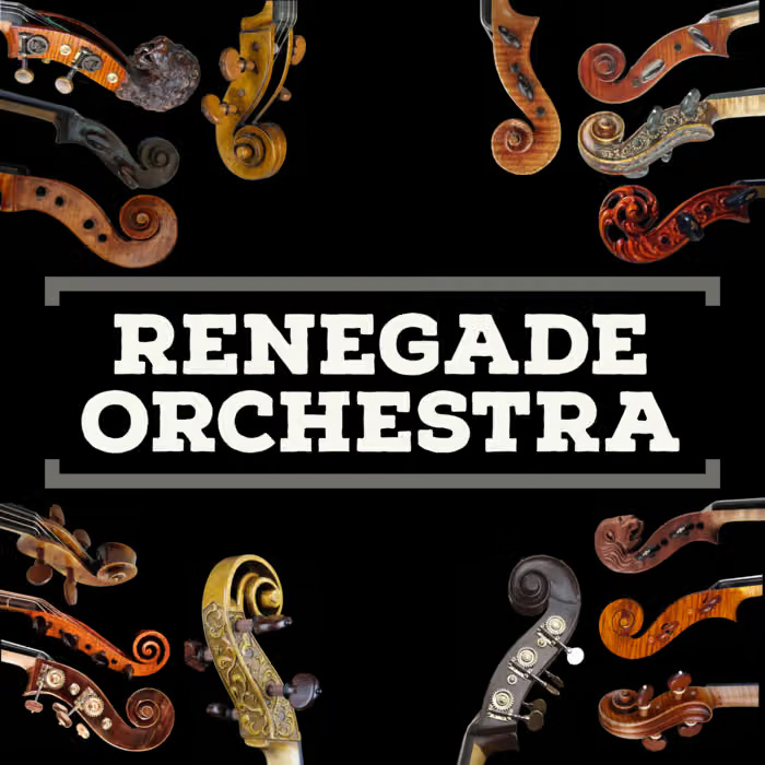 The Renegade Orchestra performs at the Davis Odd Fellows Hall in Davis, CA