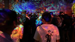 Crowd at an indoor show in Davis, with colorful projections covering the walls and ceiling